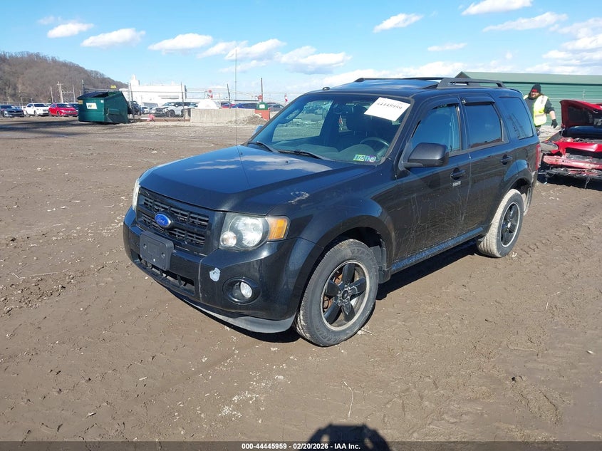 2011 Ford Escape Xlt