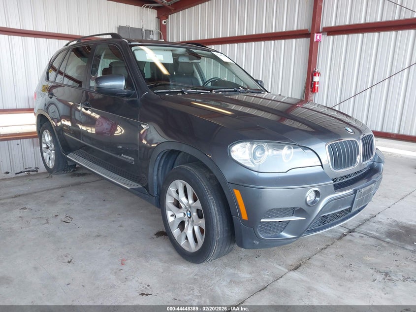 2011 BMW X5 xDrive35I/xDrive35I Premium/xDrive35I Sport Activity