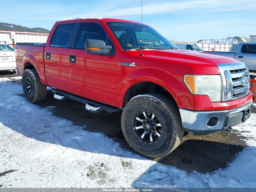 2010 Ford F-150 Fx4/Harley-Davidson/King Ranch/Lariat/Platinum/Xl/Xlt