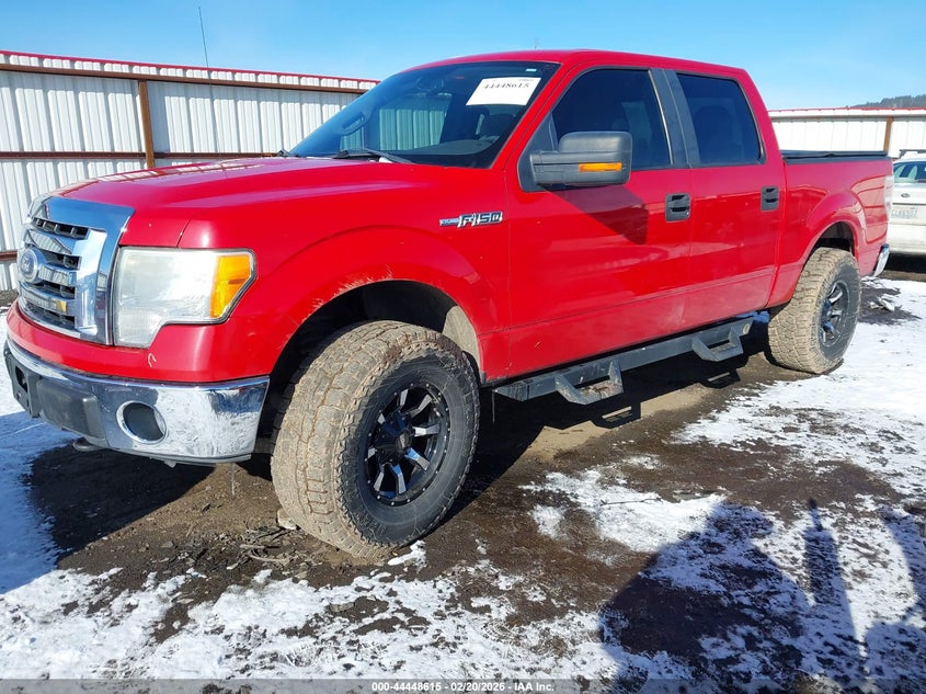 2010 Ford F-150 Fx4/Harley-Davidson/King Ranch/Lariat/Platinum/Xl/Xlt