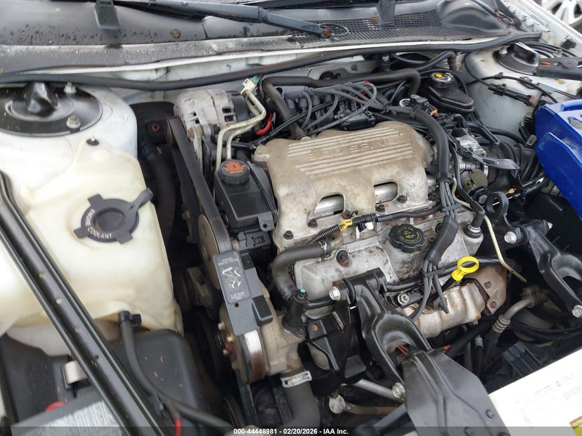 1998 Chevrolet Lumina VIN: 2G1WL52M7W9156431 Lot: 44448981