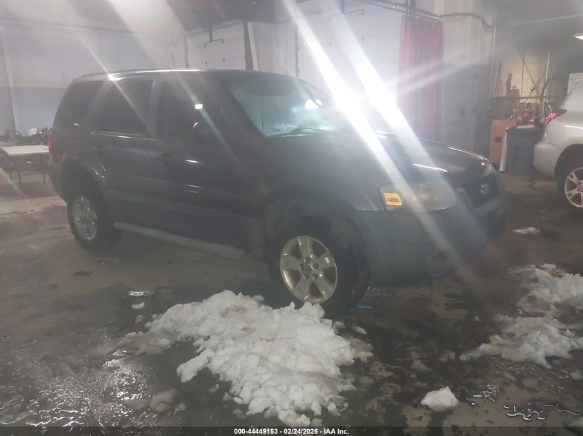 2006 Ford Escape Xlt/Xlt Sport