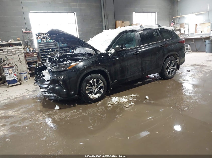 2025 Toyota Highlander Hybrid Xle