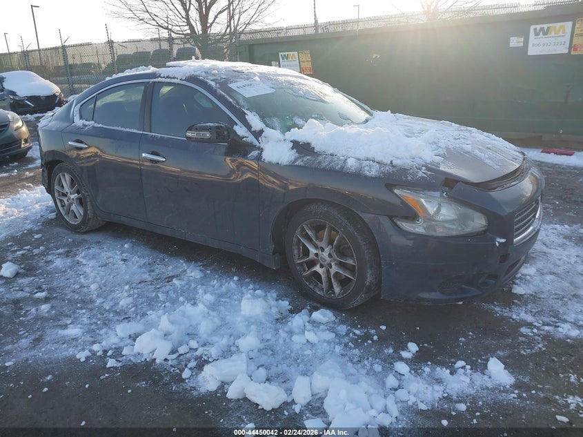 NISSAN MAXIMA 2009. Lot# 44450042. VIN 1N4AA51E69C861189. Photo 1