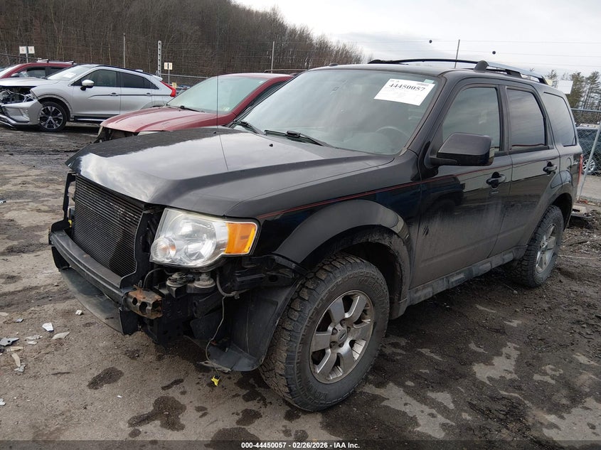 2011 Ford Escape Limited