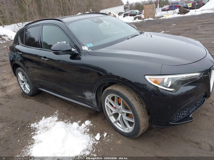 ZASPAKBNXL7C74390 ALFA ROMEO STELVIO Photo 1
