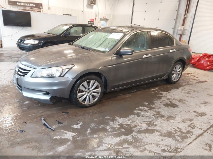2011 Honda Accord 3.5 Ex-L