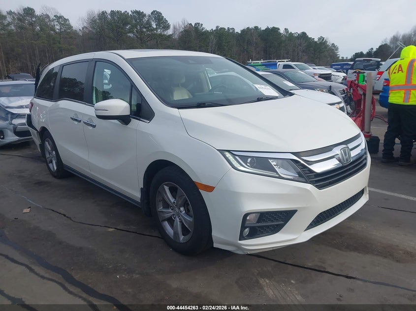 5FNRL6H74KB017973 2019 Honda Odyssey Ex-L auction photo 1