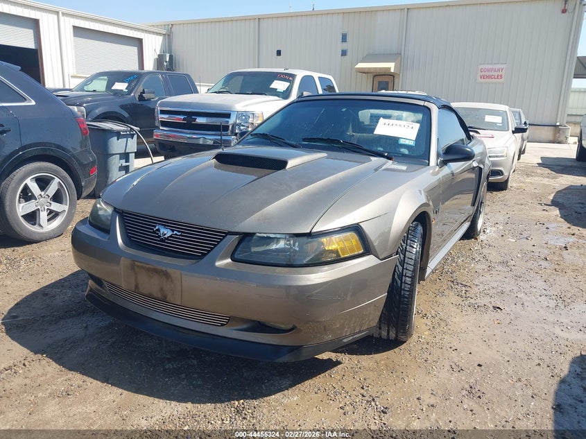 2002 Ford Mustang Gt Deluxe/Gt Premium