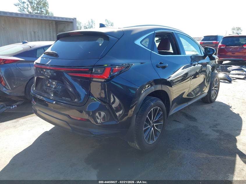 2025 Lexus Nx 250
