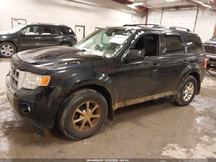 2009 Ford Escape Limited