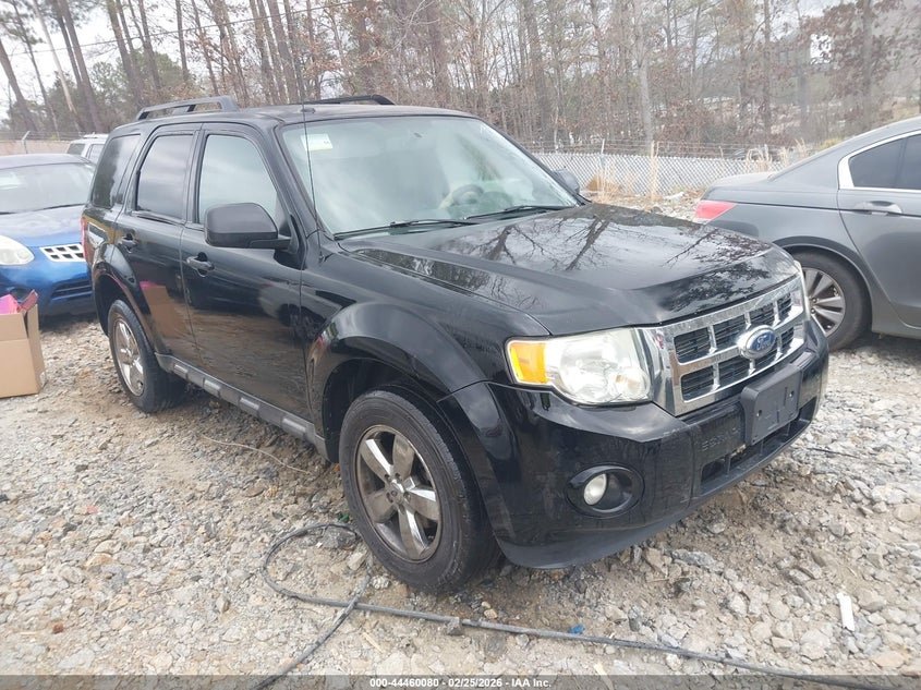 2009 Ford Escape Xlt