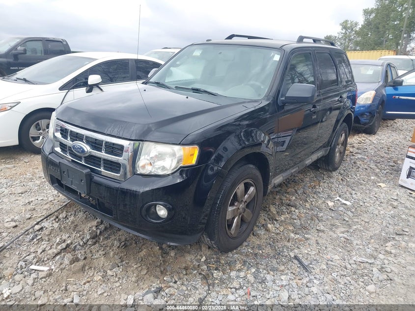 2009 Ford Escape Xlt