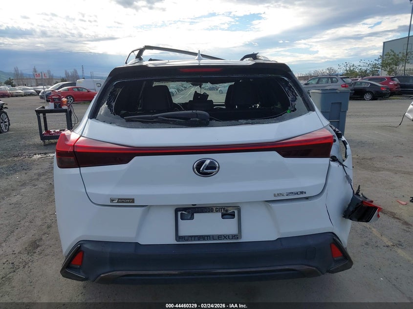 2019 Lexus Ux 250H F Sport VIN: JTHU9JBH8K2002990 Lot: 44460329