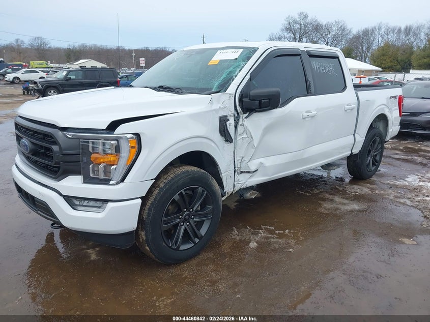 2021 Ford F-150 Xlt 1FTFW1ED9MFB25575 photo 1