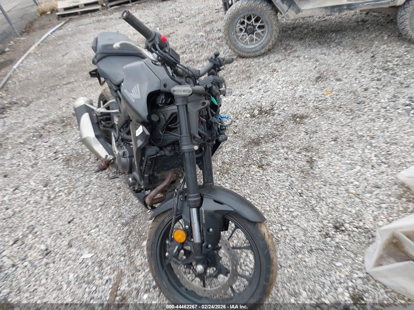 2025 Honda Cbf300 Na