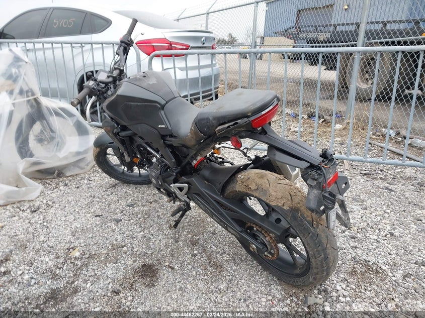 2025 Honda Cbf300 Na