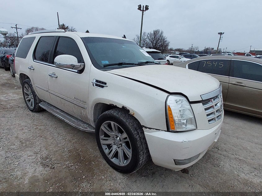 2010 CADILLAC ESCALADE LUXURY