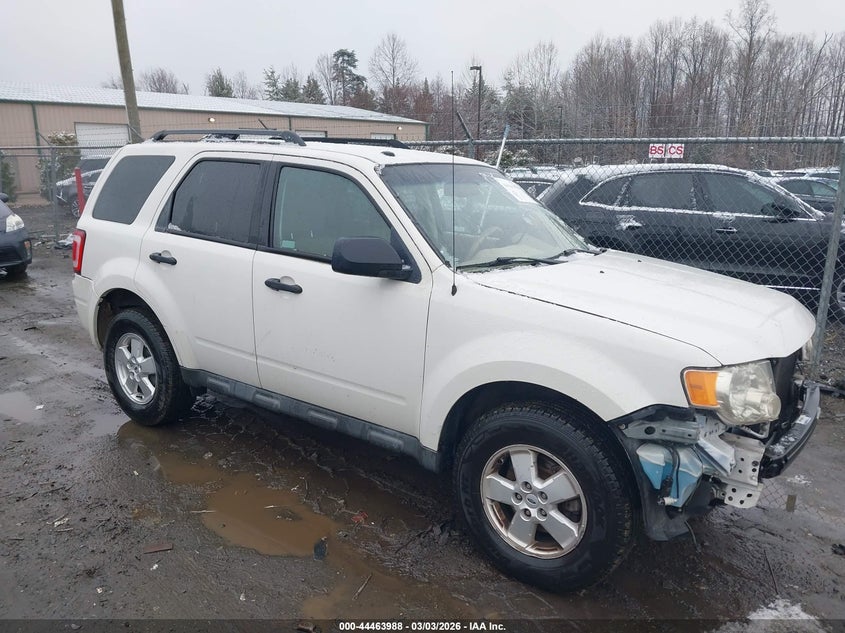 2010 Ford Escape Xlt