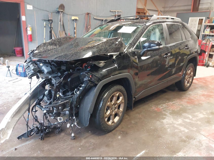 2025 Toyota Rav4 Hybrid Woodland Edition