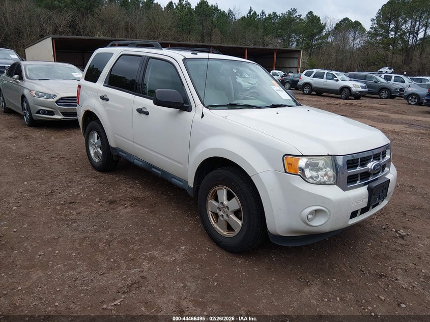 2011 Ford Escape Xlt