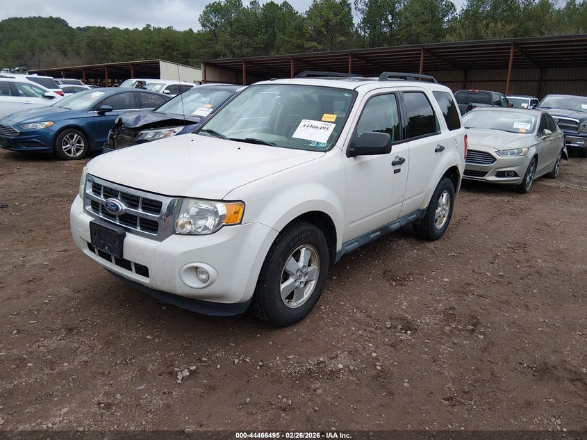 2011 Ford Escape Xlt