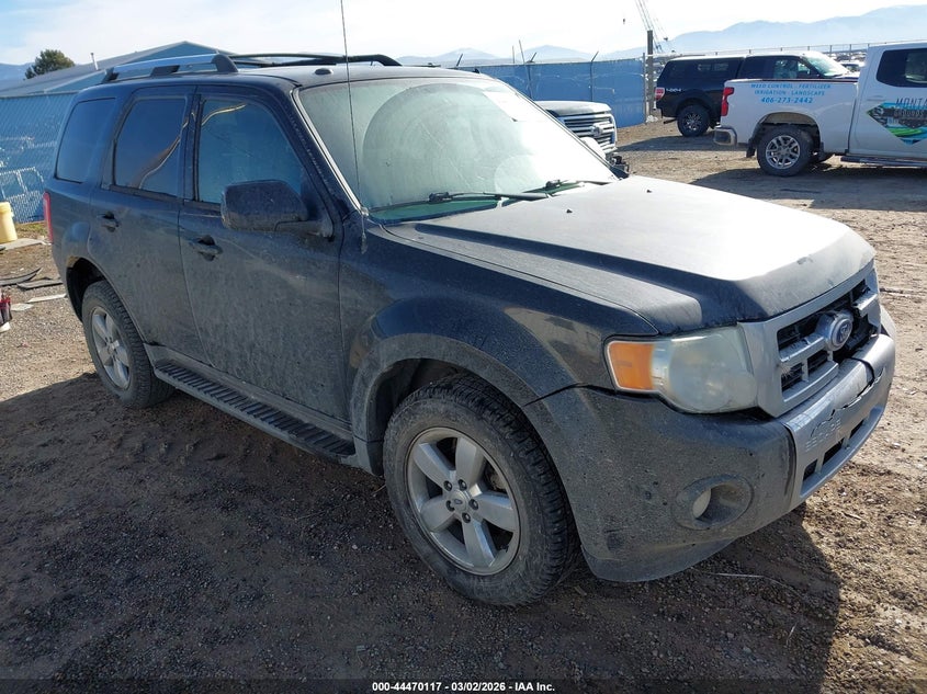 2010 Ford Escape Limited