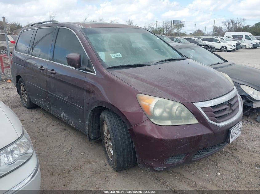 5FNRL3H75AB100924 2010 Honda Odyssey Ex-L auction photo 1