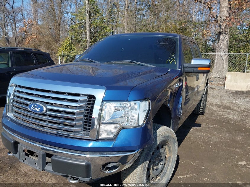 2010 Ford F-150 Fx4/Harley-Davidson/King Ranch/Lariat/Platinum/Xl/Xlt