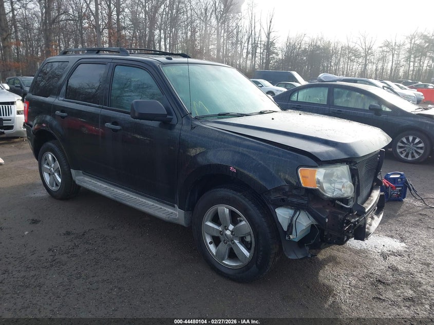 2010 Ford Escape Xlt