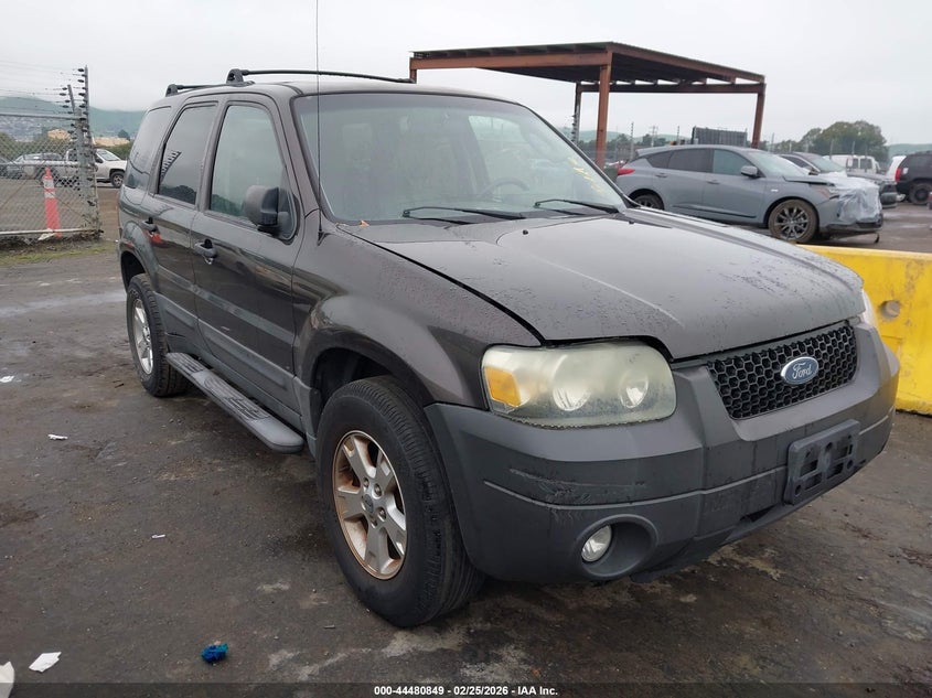 2007 Ford Escape Xlt/Xlt Sport