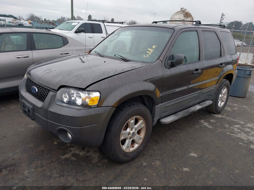 2007 Ford Escape Xlt/Xlt Sport