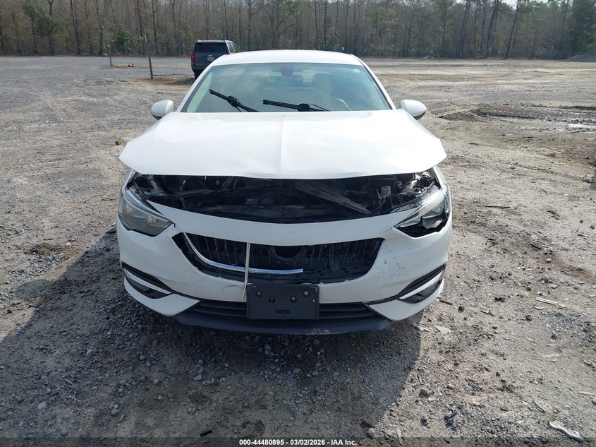 2019 Buick Regal Sportback Preferred Ii VIN: W04GM6SX4K1039844 Lot: 44480895