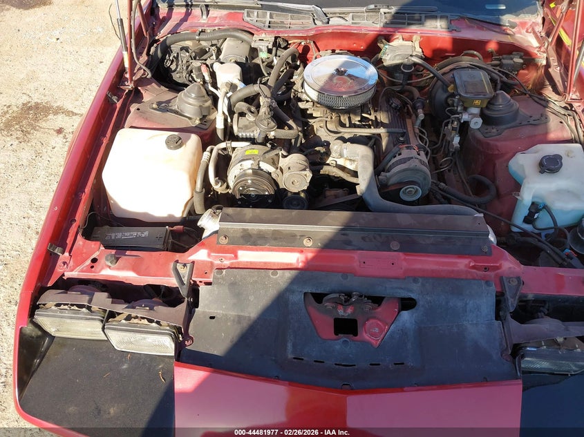 1989 Chevrolet Camaro VIN: 1G1FP21E5KL169761 Lot: 44481977