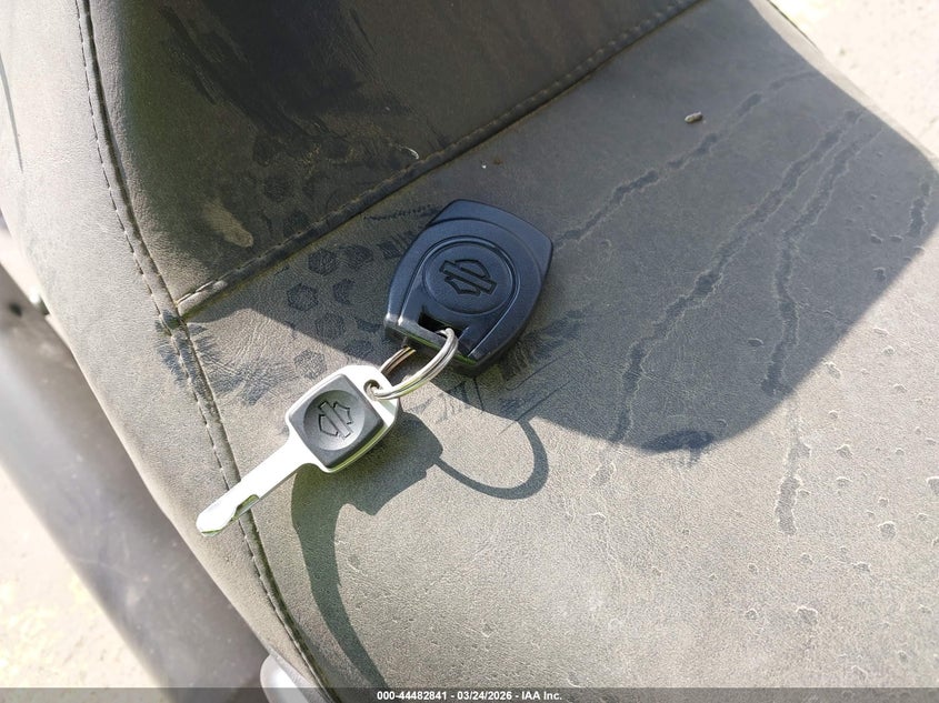 2025 Harley-Davidson Fxlrs VIN: 1HD1YWA16SB042346 Lot: 44482841