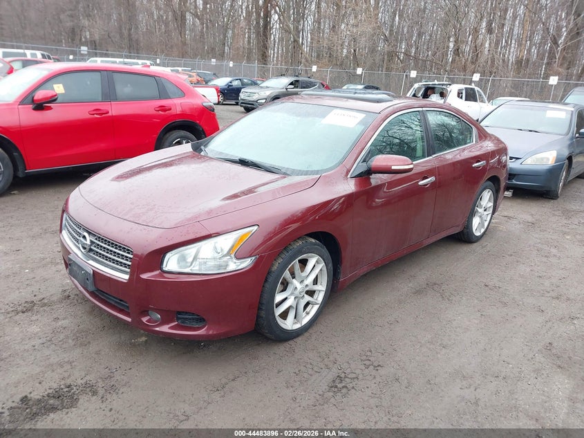 2010 Nissan Maxima 3.5 Sv