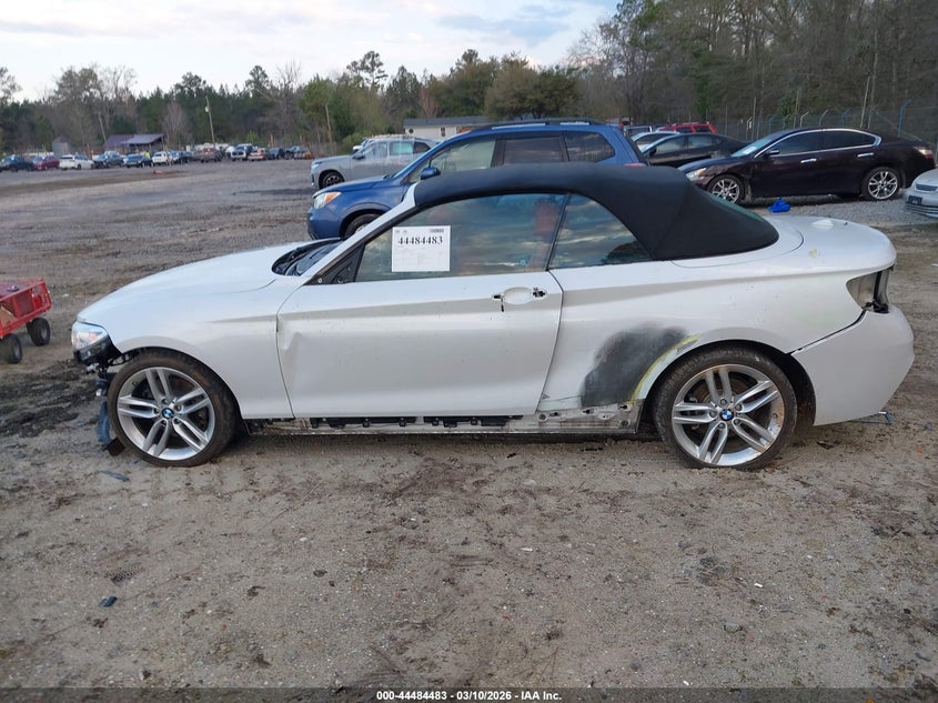 2017 BMW 230I xDrive VIN: WBA2M9C58HV717282 Lot: 44484483