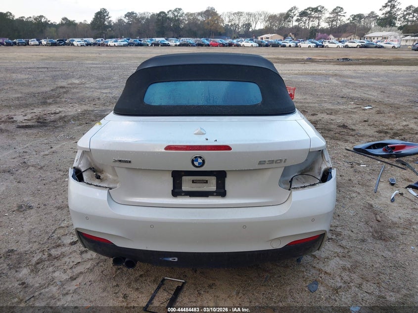 2017 BMW 230I xDrive VIN: WBA2M9C58HV717282 Lot: 44484483