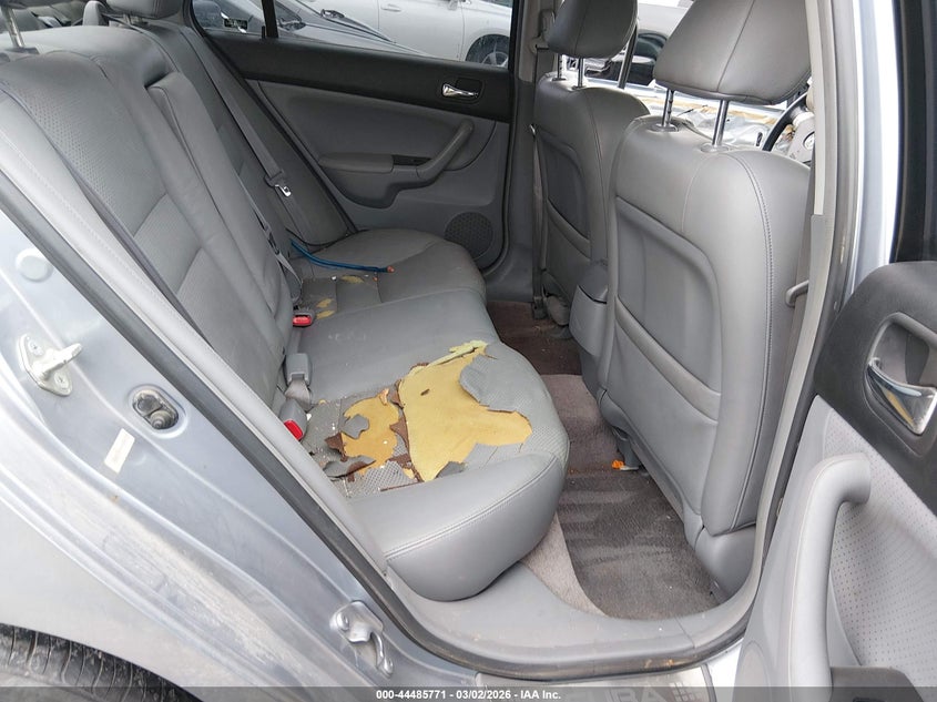 2004 Acura Tsx VIN: JH4CL96844C036198 Lot: 44485771