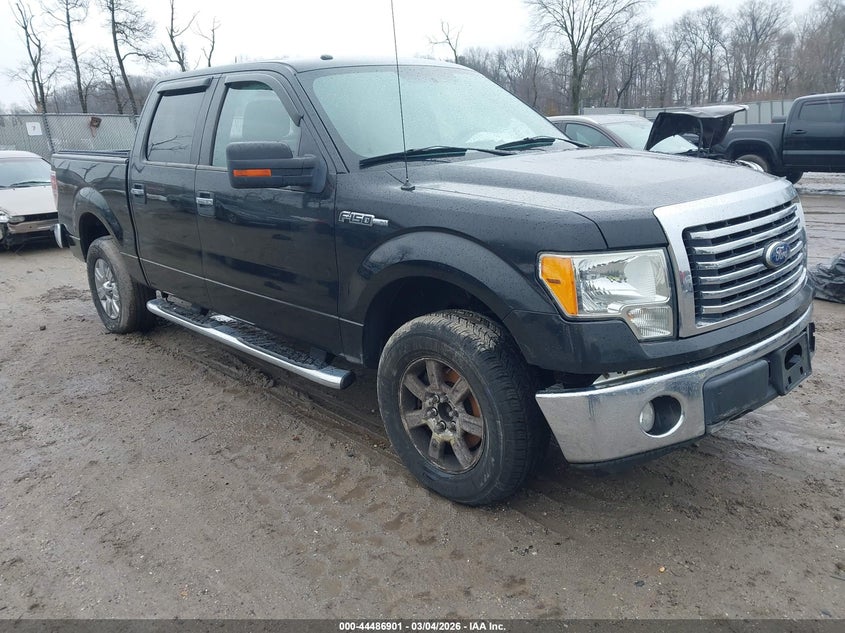 2010 Ford F-150 Fx4/Harley-Davidson/King Ranch/Lariat/Platinum/Xl/Xlt