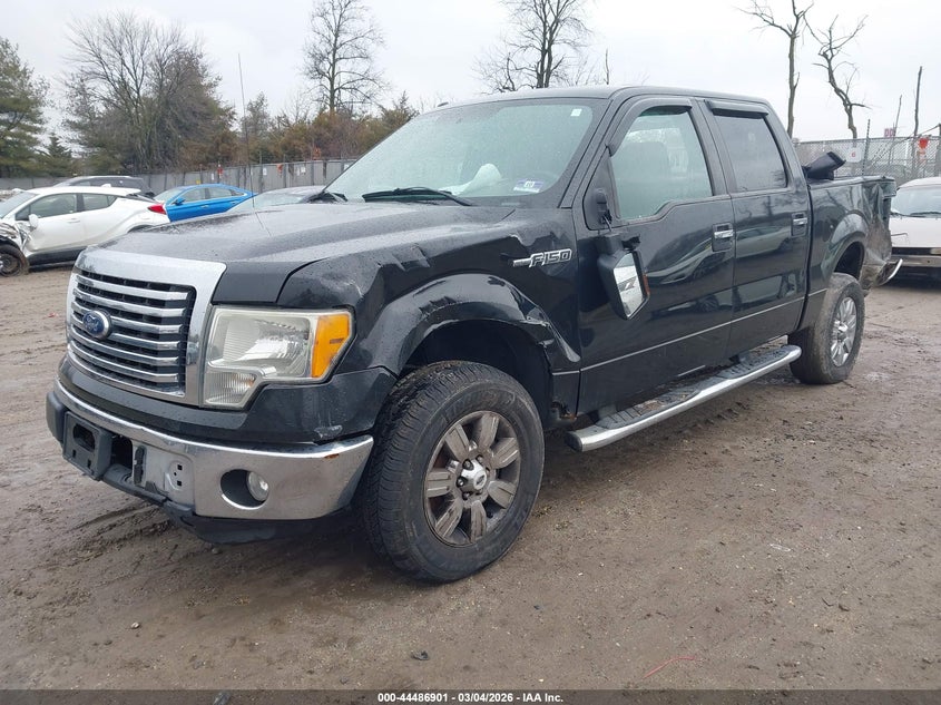2010 Ford F-150 Fx4/Harley-Davidson/King Ranch/Lariat/Platinum/Xl/Xlt