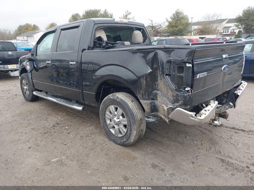 2010 Ford F-150 Fx4/Harley-Davidson/King Ranch/Lariat/Platinum/Xl/Xlt