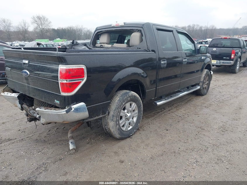 2010 Ford F-150 Fx4/Harley-Davidson/King Ranch/Lariat/Platinum/Xl/Xlt