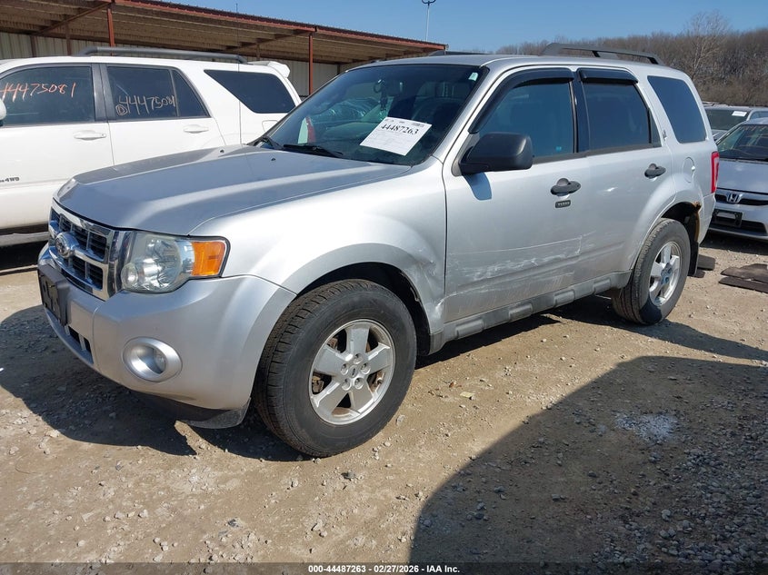 2010 Ford Escape Xlt