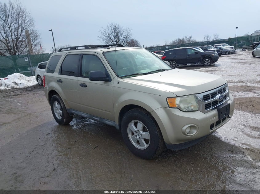 2010 Ford Escape Xlt
