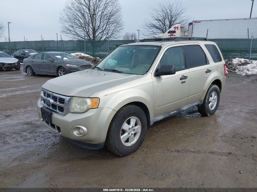 2010 Ford Escape Xlt