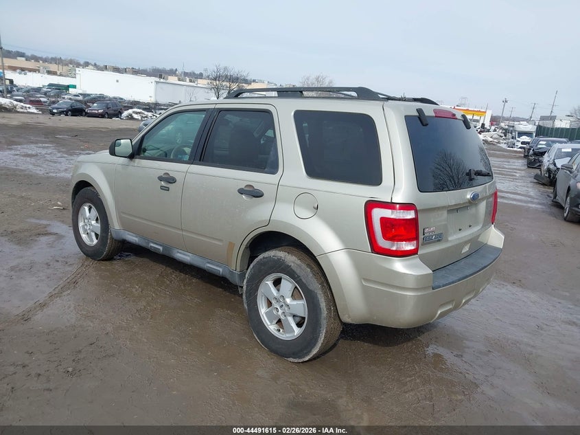 2010 Ford Escape Xlt