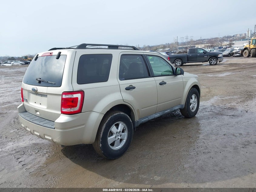 2010 Ford Escape Xlt