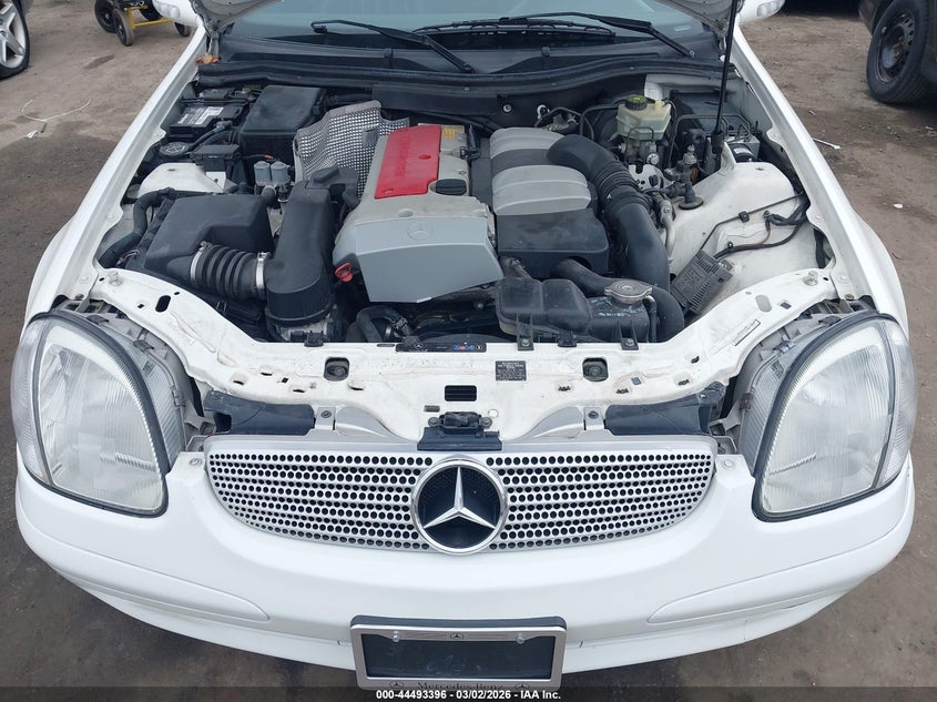 2004 Mercedes-Benz Slk 230 Kompressor VIN: WDBKK49F34F306497 Lot: 44493396