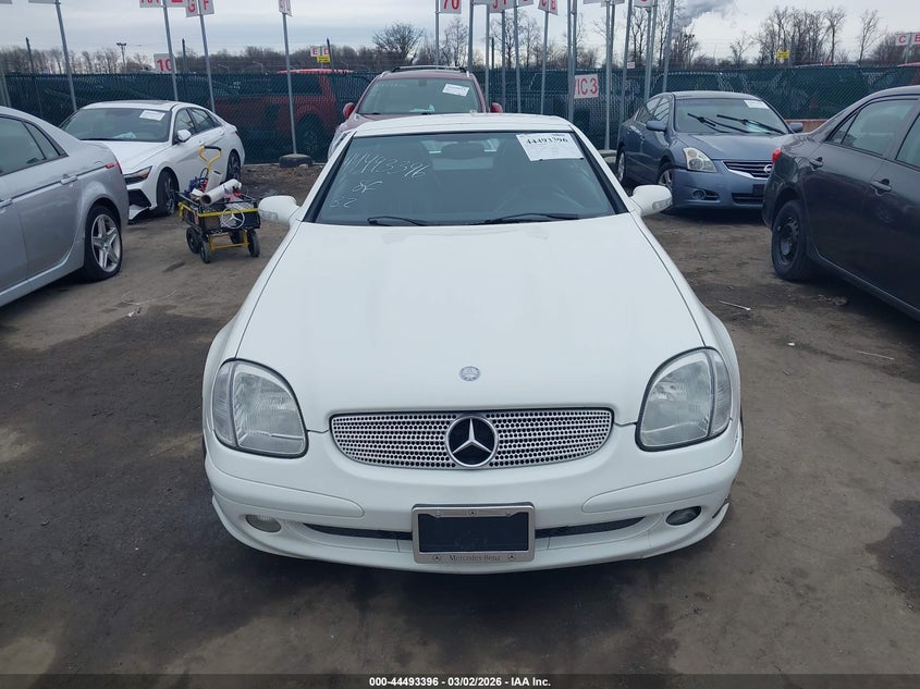 2004 Mercedes-Benz Slk 230 Kompressor VIN: WDBKK49F34F306497 Lot: 44493396